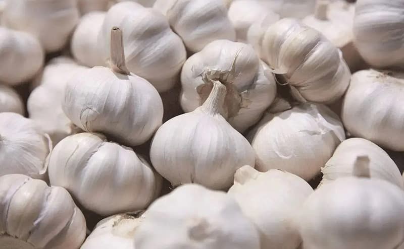 images/1672295808774garlic grader.jpg